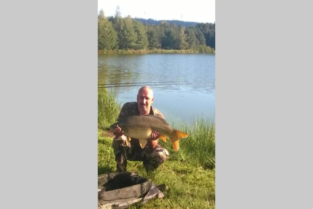 Les Gites De L Etang :Studio A 20 Mn De Gerardmer La Chapelle  Экстерьер фото