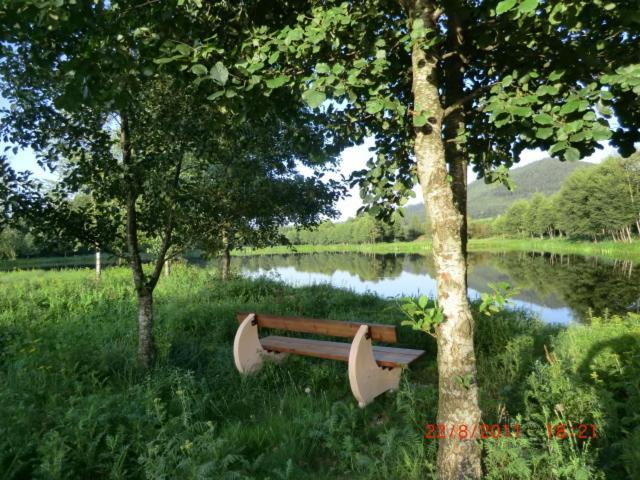 Les Gites De L Etang :Studio A 20 Mn De Gerardmer La Chapelle  Экстерьер фото