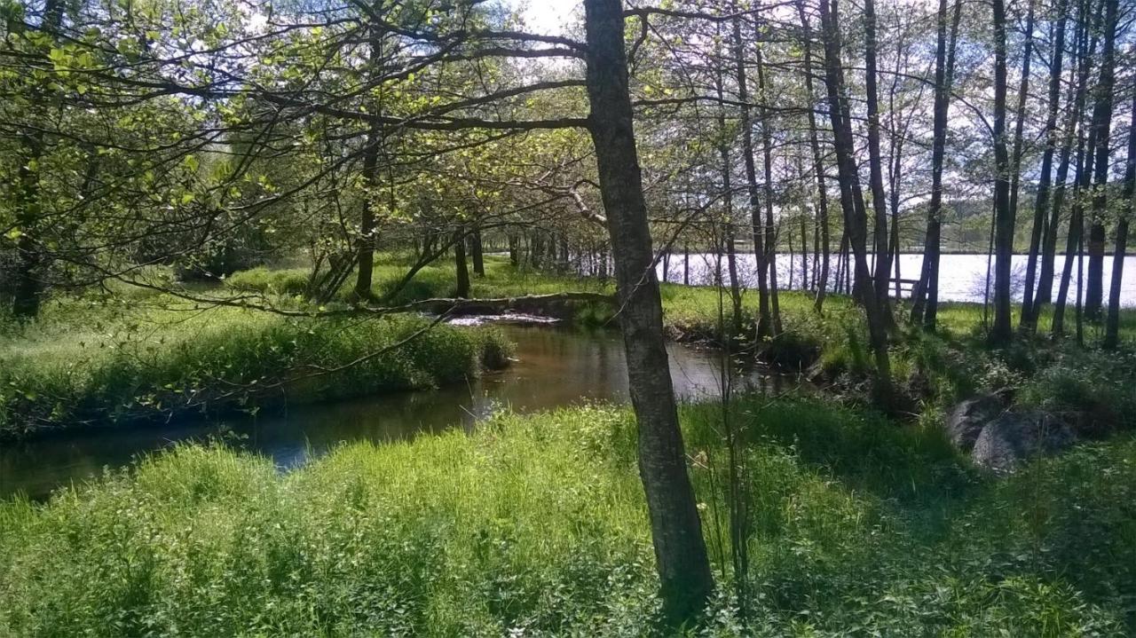 Les Gites De L Etang :Studio A 20 Mn De Gerardmer La Chapelle  Экстерьер фото