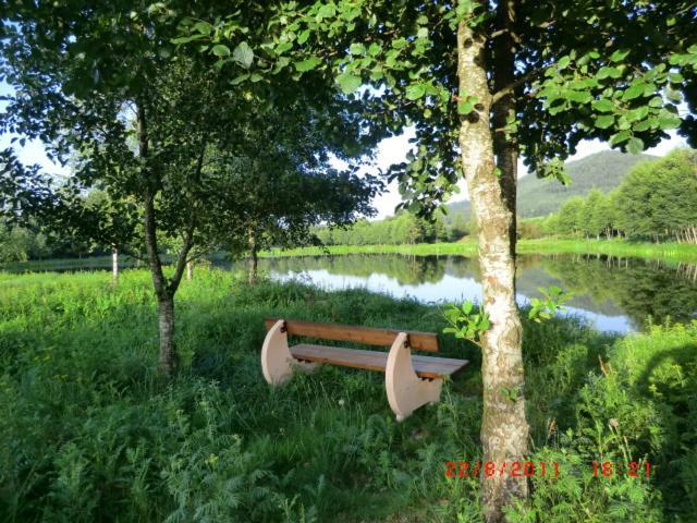 Les Gites De L Etang :Studio A 20 Mn De Gerardmer La Chapelle  Экстерьер фото