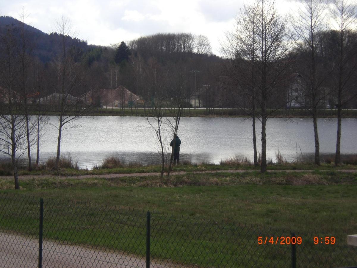 Les Gites De L Etang :Studio A 20 Mn De Gerardmer La Chapelle  Экстерьер фото