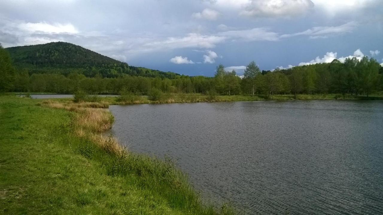 Les Gites De L Etang :Studio A 20 Mn De Gerardmer La Chapelle  Экстерьер фото